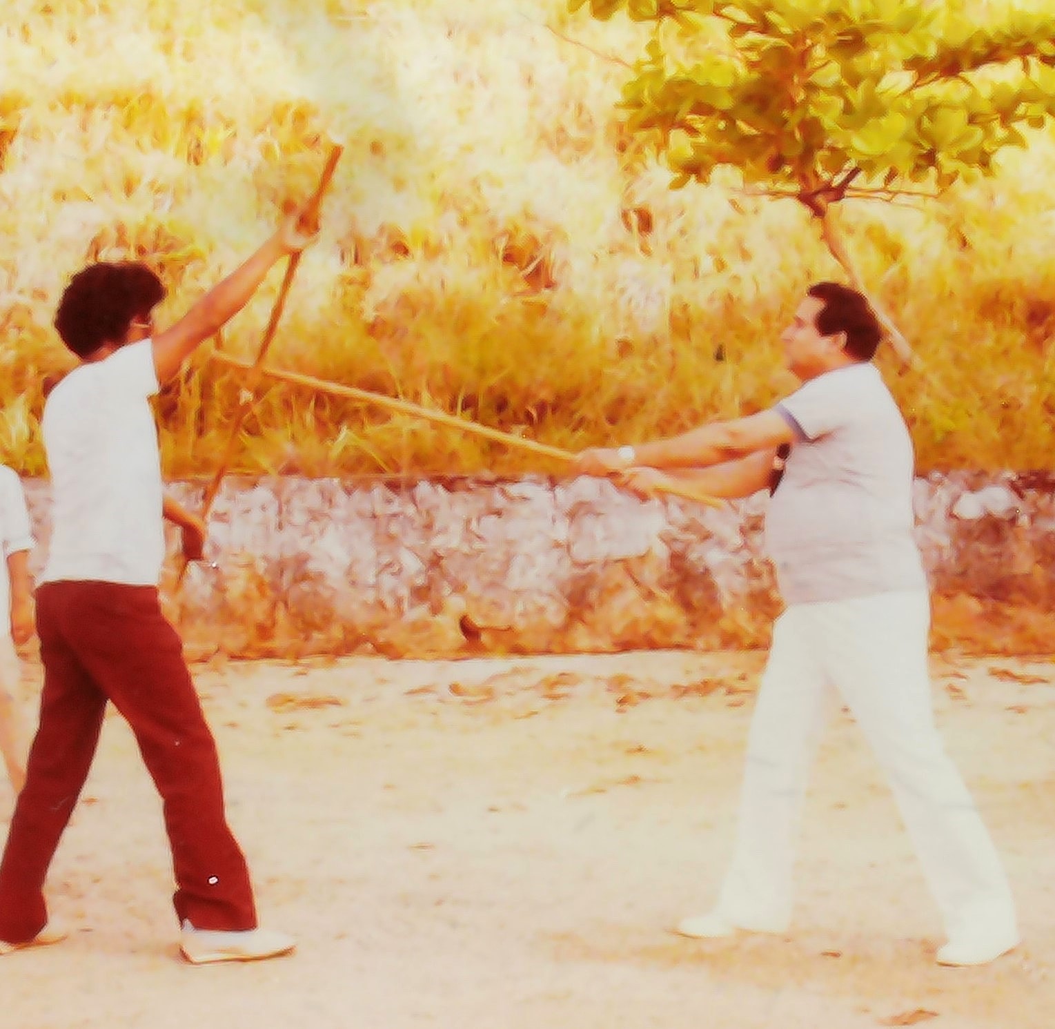 Prof. Hari Shanker Adesh instructing youth in traditional laathi staff martial arts at BVS Annual Camp